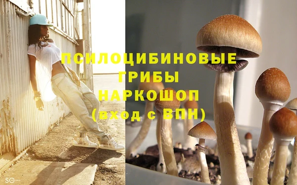 Альфа ПВП Богданович
