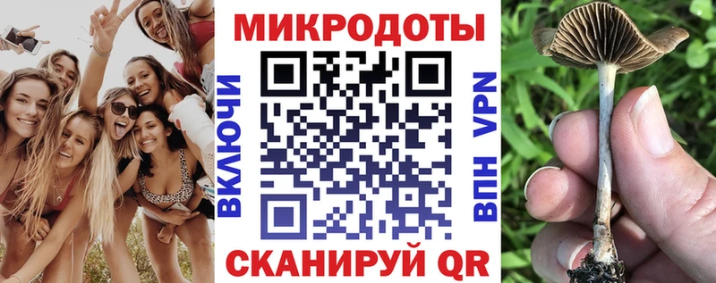 где купить наркоту  Ленинградская  Галлюциногенные грибы Psilocybe 