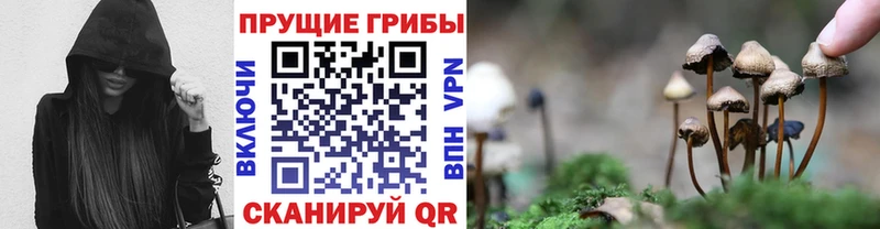 Галлюциногенные грибы GOLDEN TEACHER Ленинградская
