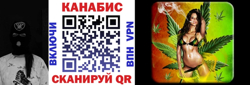 Конопля OG Kush  Ленинградская 